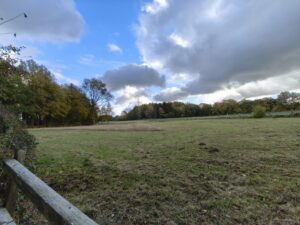 by Redmi Note 14 Pro 5G