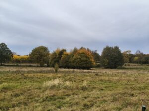 by Redmi Note 14 Pro 5G