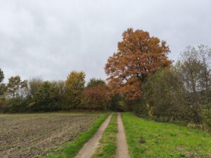 by Redmi Note 14 Pro 5G