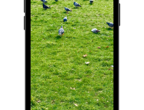 Fotos auf dem Smartphone einfach verwalten: So behalten Sie den Überblick